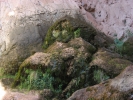 PICTURES/Tonto Natural Bridge/t_Moss Covered Rocks Inside Bridge.JPG